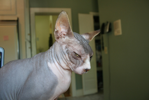 StevenGPalmer's profile picture. 