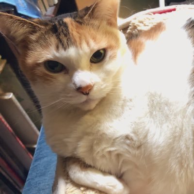 ものぐさ だるあじ No Twitter みこち クリスマス壁紙のピースがかわいかったので Miko Art