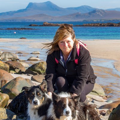 MccarthyCowan's profile picture. Jobbing painter and writer. Border collie mum. Author of Breagha the bravest hen in the highlands, Abandoned, The Dragon's Promise. Creator of "Assynt Animals"