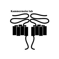 Kammermeier Lab (@kammermeierl) 's Twitter Profile Photo Kammermeier Lab (@kammermeierl) 's Twitter Profile Photo