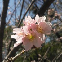kore22437 (@marins_maira) 's Twitter Profile