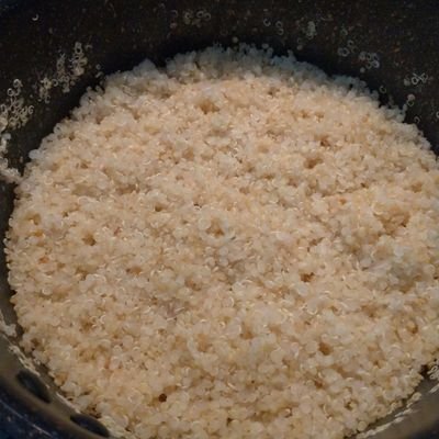 IndioSaNorte's profile picture. Life is simple...but not easy.