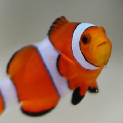 Kaho ハワイで買ったmacのアイシャドウ オリーブのほう 波の模様が入ってて可愛い 綺麗なうちに写真 15ほどで安すぎたから今しかないとおもって買った Mac Hawaii Alamoanacenter Kaho ハワイで買ったmacのアイシャドウ オリーブのほう 波の模様が入ってて可愛い 綺麗なうちに写真 15ほどで安すぎたから今しかないとおもって買った Mac Hawaii Alamoanacenter