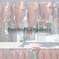DestinFLCharters(@ChartersFl) 's Twitter Profile Photo