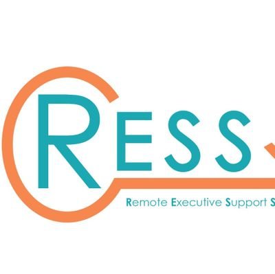 Remote Executive Support Services