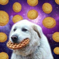 kaseropites (@kaseropites) 's Twitter Profile Photo kaseropites (@kaseropites) 's Twitter Profile Photo