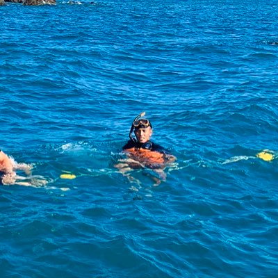 ccOJrKrHApcFOqc's profile picture. 