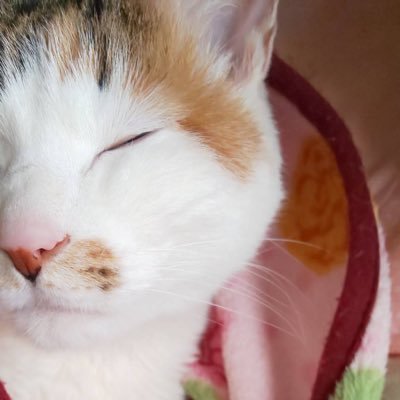 しょーた。。。さんのプロフィール画像