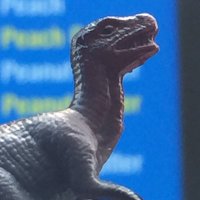 Travis Dean (@airglider9) 's Twitter Profile