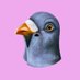 Still Pigeon (@pigeonstill) Twitter profile photo Still Pigeon (@pigeonstill) Twitter profile photo