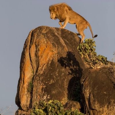 GMajhok's profile picture. Civil Engineer.