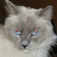 Eus Rendrag (@etressa4) 's Twitter Profile