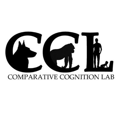 Founded by @RossanoFederico - We are a research lab at UC San Diego, dedicated to exploring human cognition, how it develops & its evolutionary origins.
