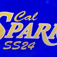 Cal SparksSS24 Basketball (@ss24basketball) 's Twitter Profile