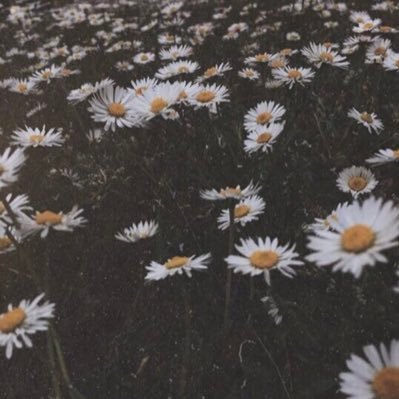 IL8sy's profile picture. 