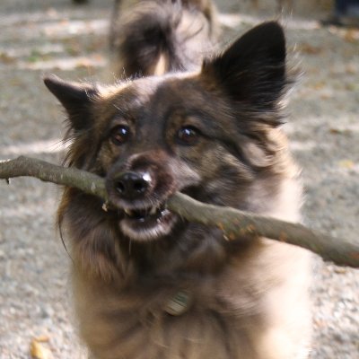 2nd generation importers of only the best sticks since 2005.