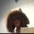 joeysblueorange's profile image