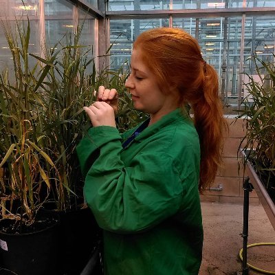 🌽🏴󠁧󠁢󠁳󠁣󠁴󠁿 PDRA in The Plant Shape Lab, University of Edinburgh