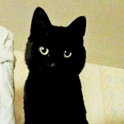 QA, SDET, junior crypto trader and lazy blogger живущий в Саратовской глубинке