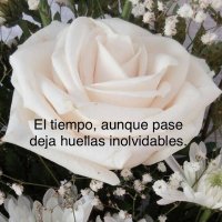 Cristina Nùñez S (@criss0622222) 's Twitter Profile