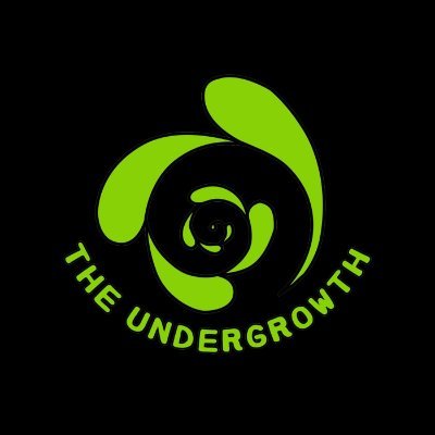 Conscious Collective based in Asheville, NC. Accepting submissions now & forever 🌱 Theundergrowthasheville@gmail.com