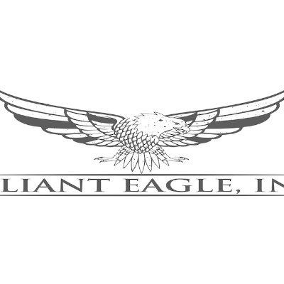 valianteagleinc Profile Picture