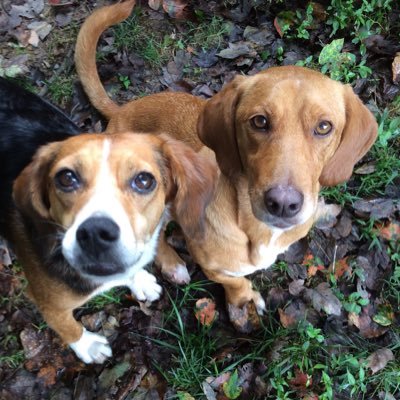 MelissaBigg2's profile picture. DEMOCRAT PROUDLY FIGHTING ✊✊🏼✊🏽FOR TRUTH JUSTICE & THE AMERICAN WAY 🇺🇸