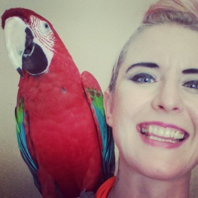 Kingsley the #macaw is Chairman of The Joyful Parrots Club, and his human Renee is #blog editor! Follow our #parrot adventures & join our flock!