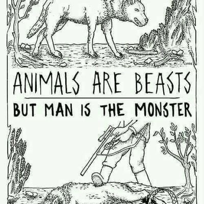 mystic_1120's profile picture. 