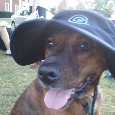 From NJ @AmeriCorps, @gettysburg, @williamandmary alum. Coach @GeorgetownUltiM. Tweets about my dog. Opinions my own