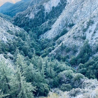 uriel58133450's profile picture. I love you