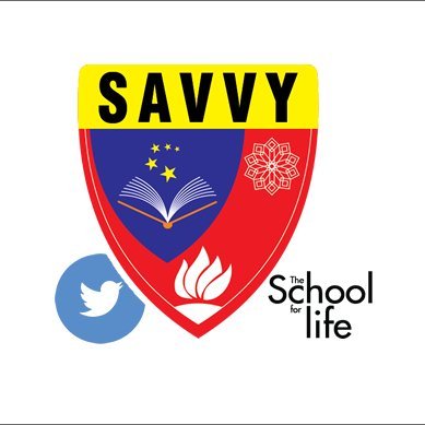 The Savvy School Official