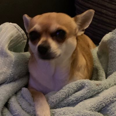 lou19035908's profile picture. I’m crackers