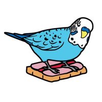 Hyper Finch(@hyper_finch) 's Twitter Profileg