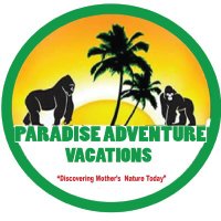 Paradise Adventure Vacations | Gorilla Trekking (@paradiseadvent5) 's Twitter Profile