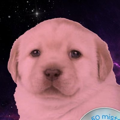 _jstappen's profile picture. 