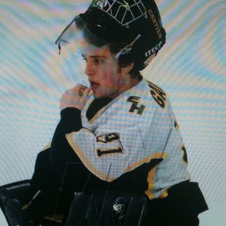 sgav31's profile picture. 