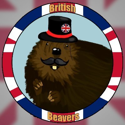British_Beavers's profile picture. A group of game design students creating games from @CGDPriestley

@SamGree99881188 @Brandon57351314 @CGDMelanie @SamuelJBate @CdgWillcock @JamesleighD