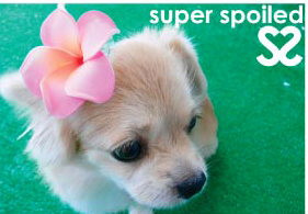 CBelieu's profile picture. 