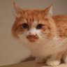 34wUJPkq7tumULZ's profile picture. 佐賀県出身の５０代、東京での単身赴任終了し佐賀に帰ってきました。趣味は食べ歩き(特にラーメンと肉)を楽しんでます🎵野球はソフトバンクホークス、サッカーはサガン鳥栖を応援してます。ゲームや映画(ドラマ)も好きです。(ホラーも好きです)無言フォローしますがよろしくお願いします。