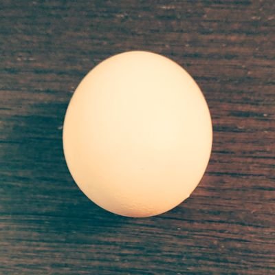 tamago_roasted Profile Picture