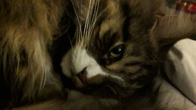 Rollenspieler, verhaltensoriginell, seelisch divergent, goth/metal/punk/(sonstiges), Antifascist, Leseratte, vorliebe für Steampunk/(neo)victorian, vampire