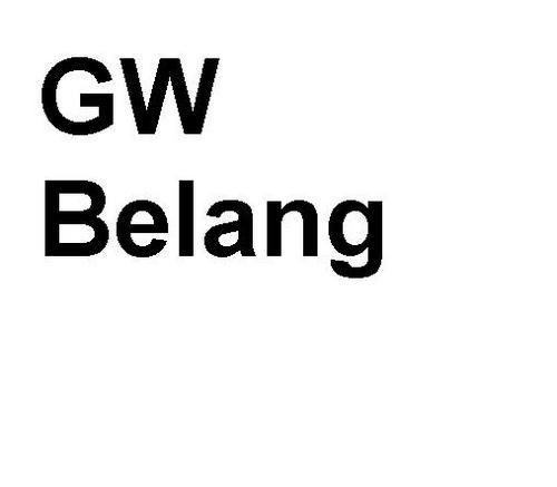 GWBelang's profile picture. Wij zijn de onafhankelijke van Gemeentewerken!
Voor de verkiezingen van de medezeggenschap!