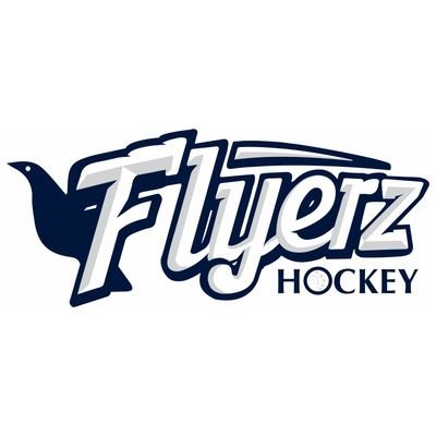 Flyerz is leading a movement across the UK to make disability inclusion the norm in hockey 🏑🇬🇧 Powered by @AccessSport