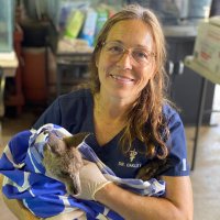 Michelle Oakley - @YukonVet Twitter Profile Photo