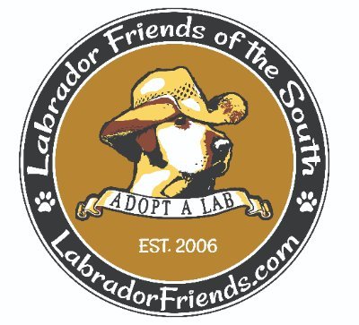 Labrador Friends of the South (LFS) is an incorporated, 501(c)(3) non-profit organization dedicated to the rescue and adoption of homeless Labrador Retrievers