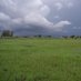 Dorothy Wakeling (@dorothywetlands) Twitter profile photo Dorothy Wakeling (@dorothywetlands) Twitter profile photo