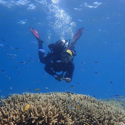 Coral reef ecology | Coral reproductive biology | Restoration ecology