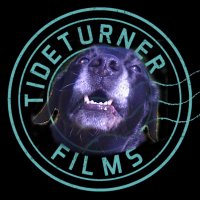 Tideturner Films (@tideturnerfilms) 's Twitter Profile Photo Tideturner Films (@tideturnerfilms) 's Twitter Profile Photo