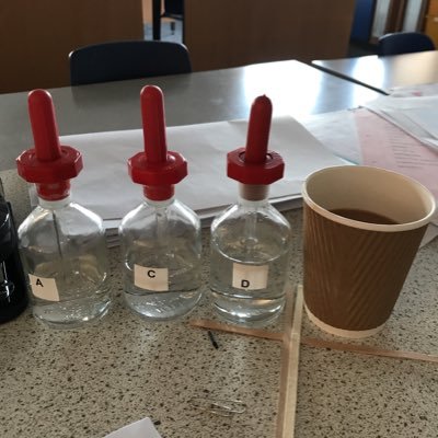 kinakinakinaT's profile picture. Head of Science and pupil progress at a unique and wonderful Welsh independent; chemist with a background; mother to 3 monsters. Views mine!
